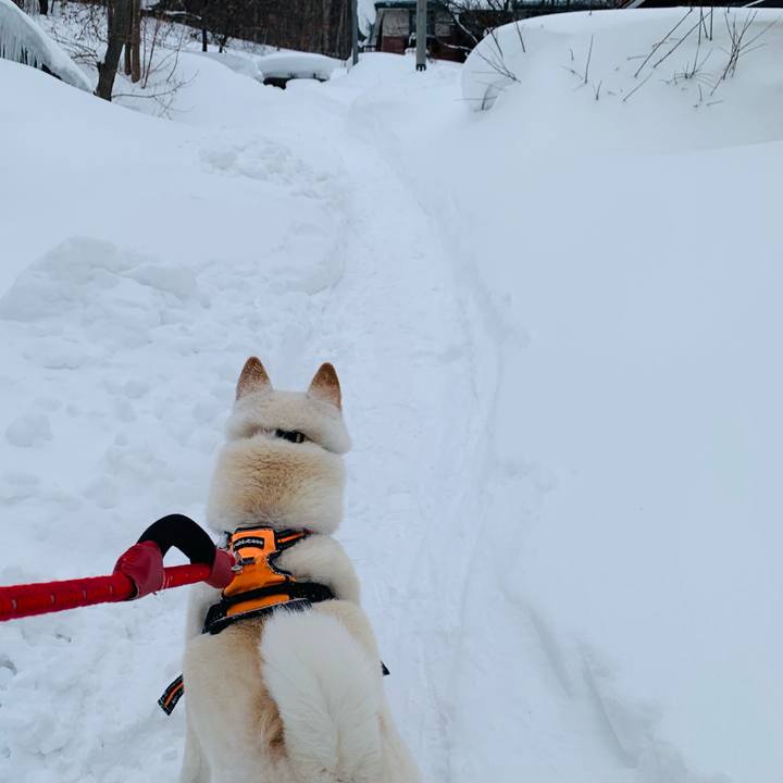 922a3c44 bfc6 4052 8e8e b8fb45599735 1675981770947