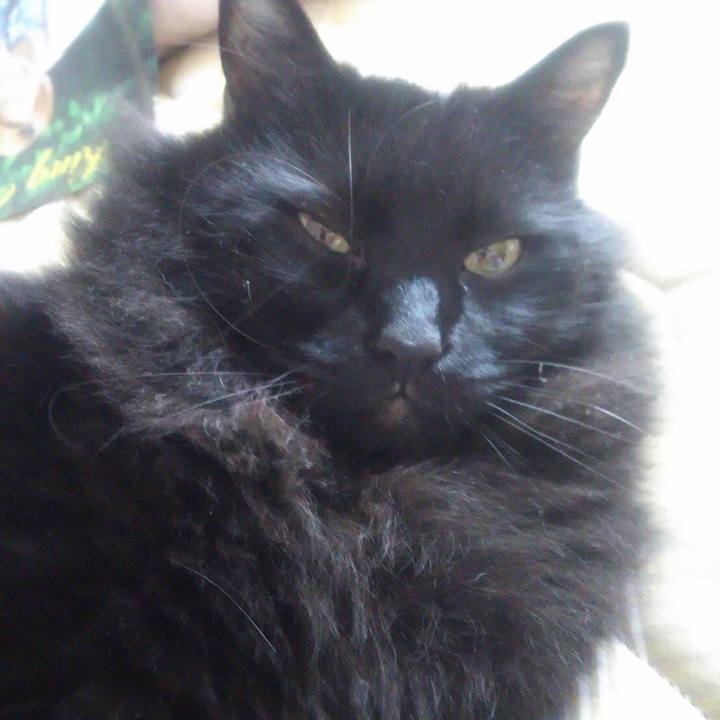 922a731d 1e44 47aa 9856 aab7ae0ce787 1574294095958