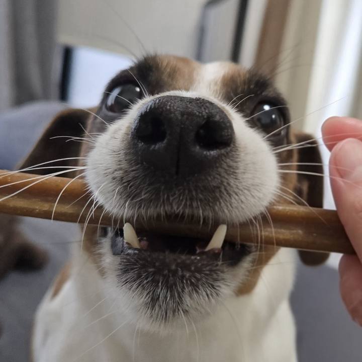 922abe8a 85fe 402e 9cff 93944f1efe78 1774436893438