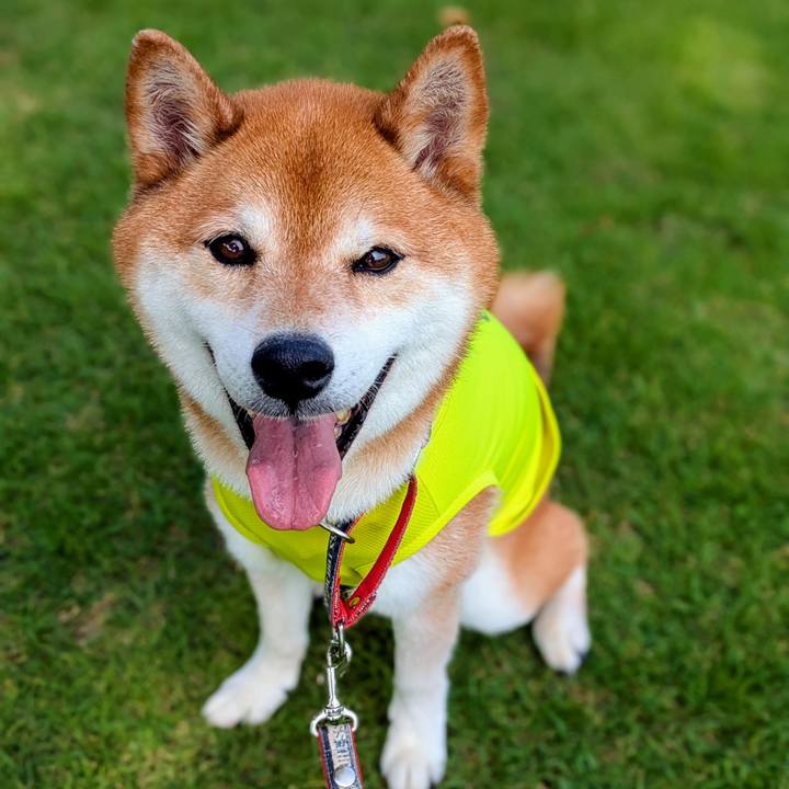 922ae27a fa44 4ea0 8753 ee9dc9da6361 1751267279435