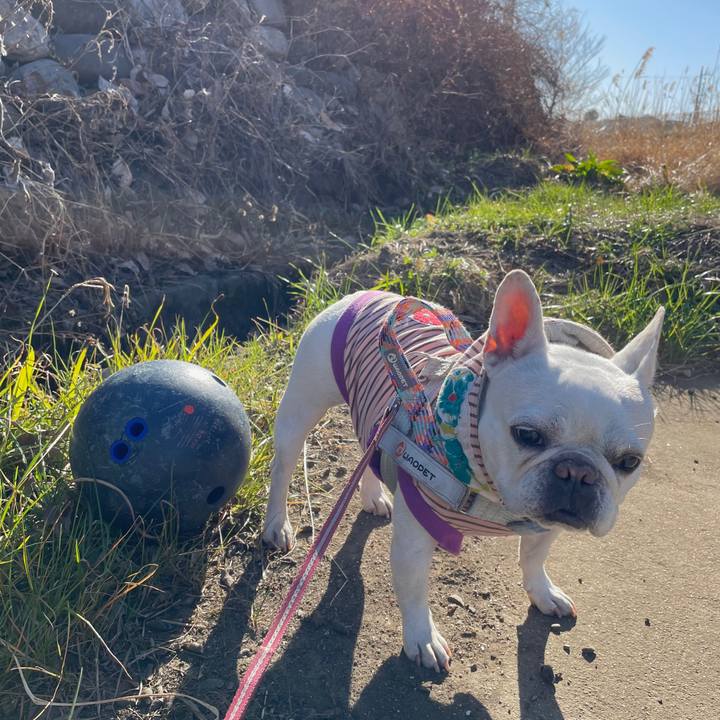 922b01fc acdc 4e96 b667 fc1fc04abd32 1768362707875