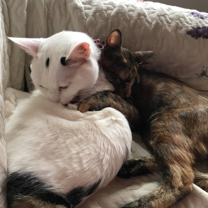 922b5d60 f25f 47de 8541 b20148c4098c 1620635702671