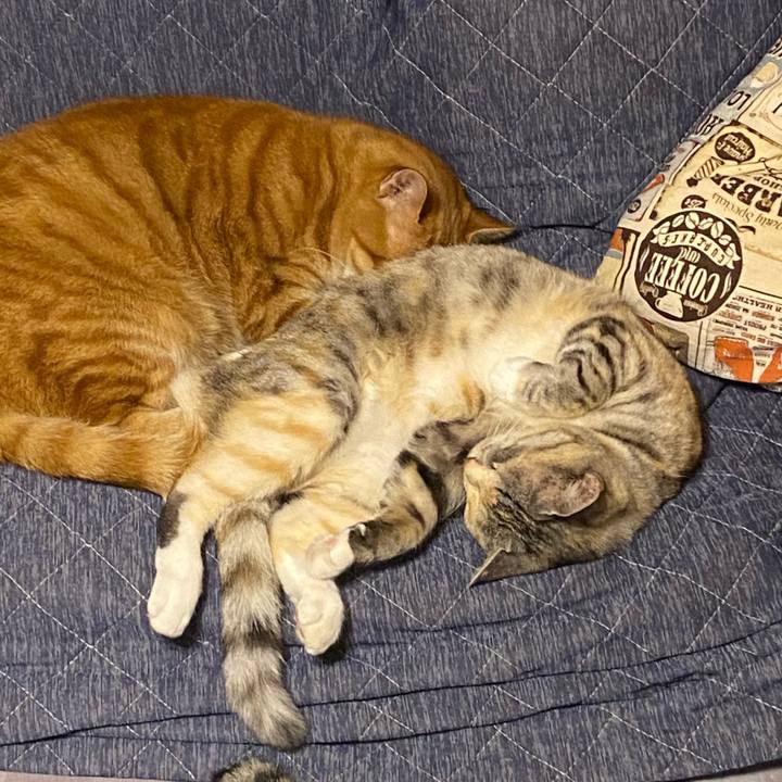 922bb4f4 f6ed 4542 803c 6a94899b6ebf 1620991014858