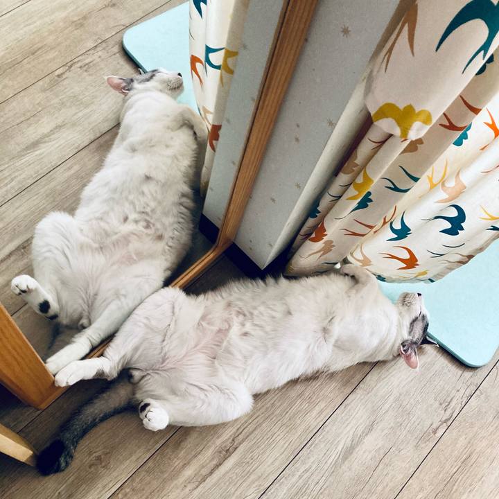 922bc52e 0258 48d8 a6e9 decbbe700be1 1691058668896