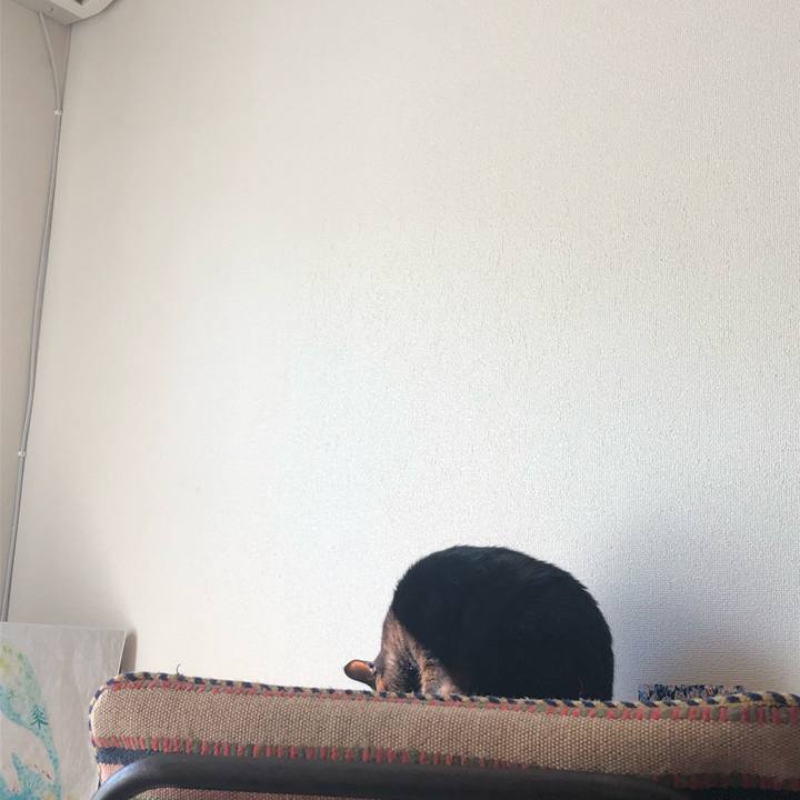 922be7dc 3b16 4671 9c02 169ace017bbb 1544841947102