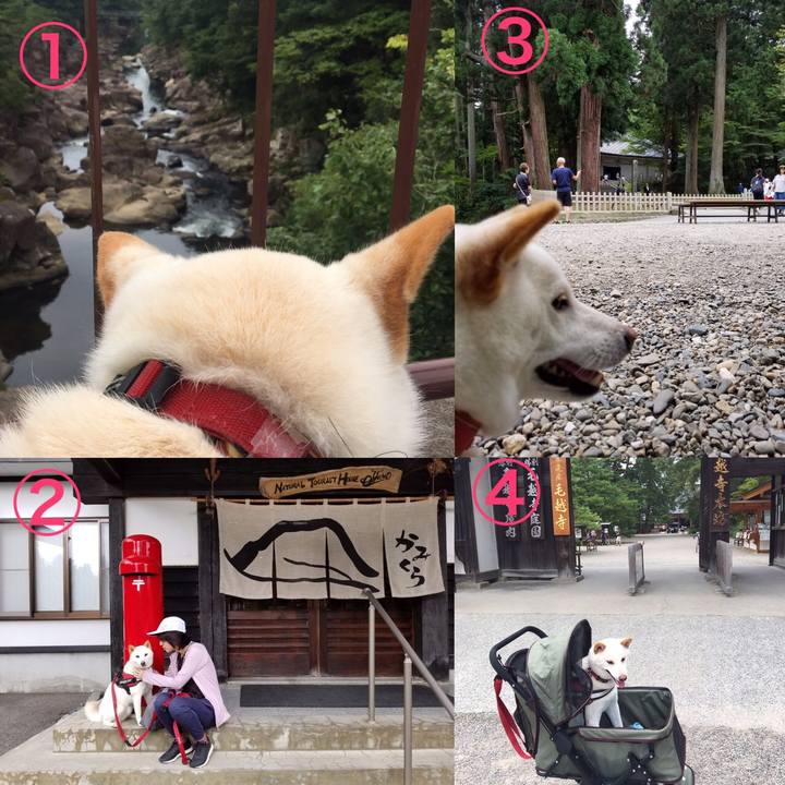 922bf9a0 6c0e 404f b5b6 9c3fdc1b19c5 1566530674178