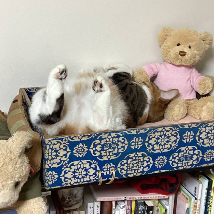 922c15ec 3f4d 4f23 9753 d8a519c32cd3 1735782540190