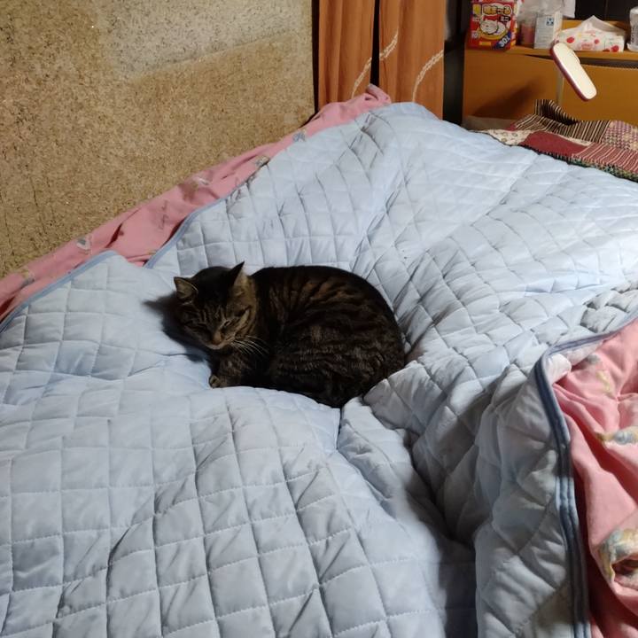 922c3fd8 a5ed 4484 8e0b 845670c105cf 1710157980150