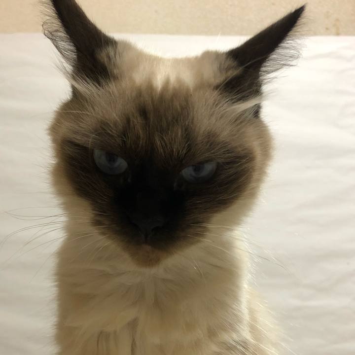 922c7296 5cb8 4d9a 8838 fc06b63cb845 1603106057287