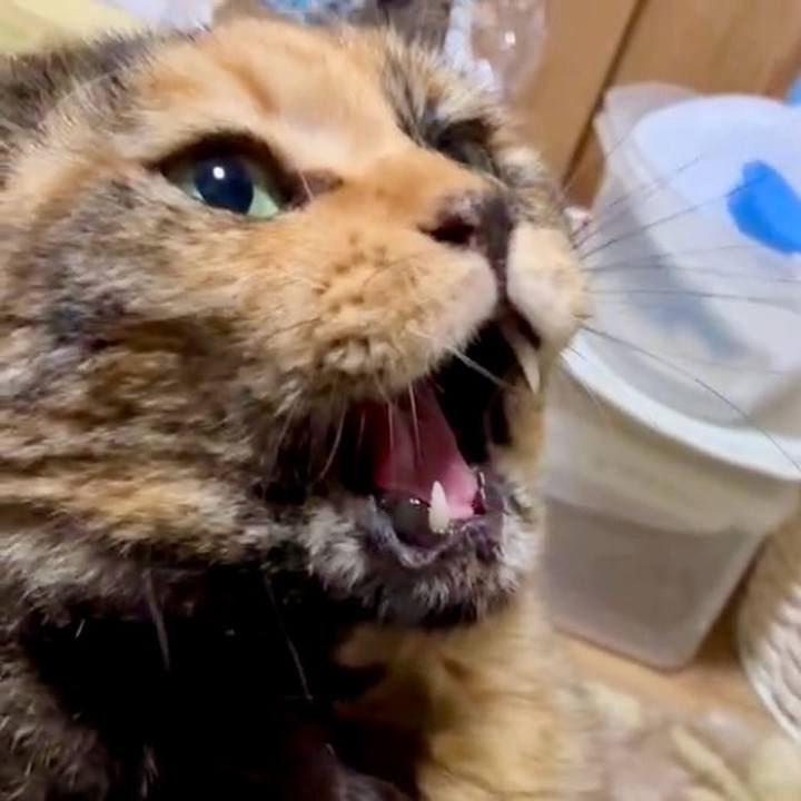 922cc046 a6aa 4076 9b7a 7db1349d4f63 1764794245097