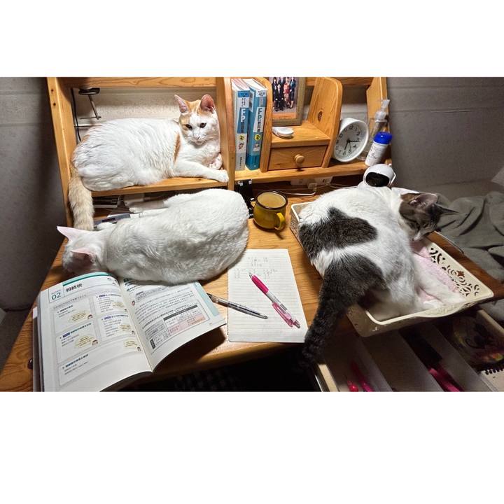 922cdb0e f3d9 478c 9ce2 42cccbb4b4f6 1675286220689