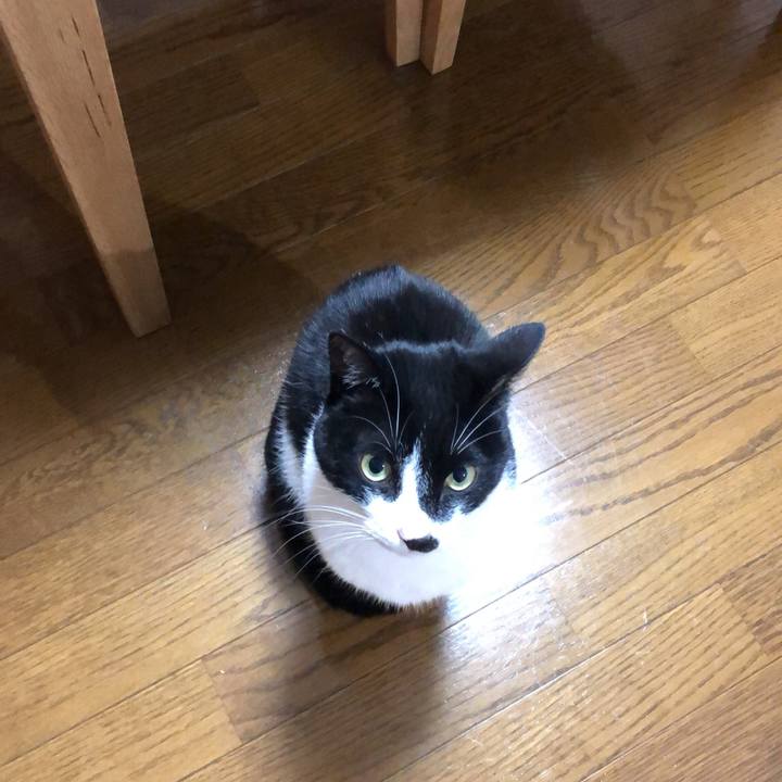 922d7de7 2260 468c bd5b e609dbb918d8 1543201213555