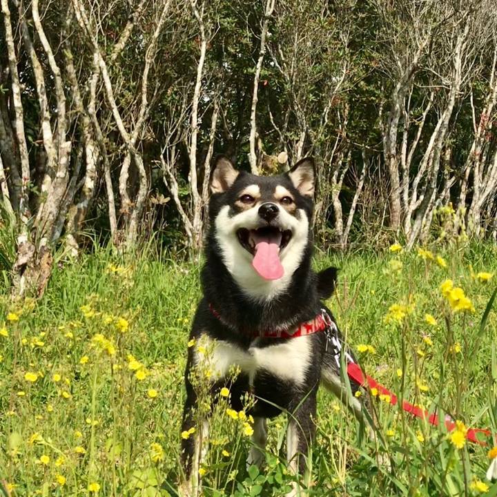 922d8d3d d903 4ca6 8790 f50546e7ee47 1521423735853