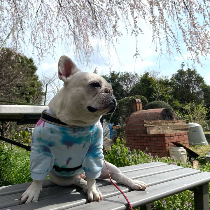 922dad07 6c9a 44b6 b154 3302d45297cc 1743374311609