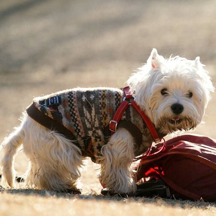 922dc78d c92a 423c 94c3 d9a0c0b2b0df 1518011198335