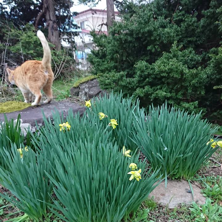 922dcd0d 04fd 4f32 90f0 ec6e7865c4fa 1587287170475