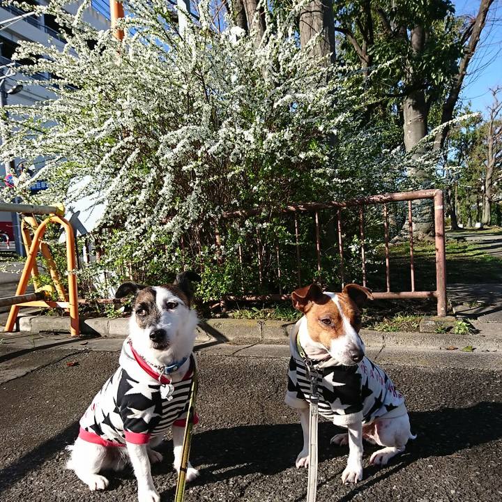 922dda06 4a36 49fb 96a1 7ddeef8b9afe 1583885739739