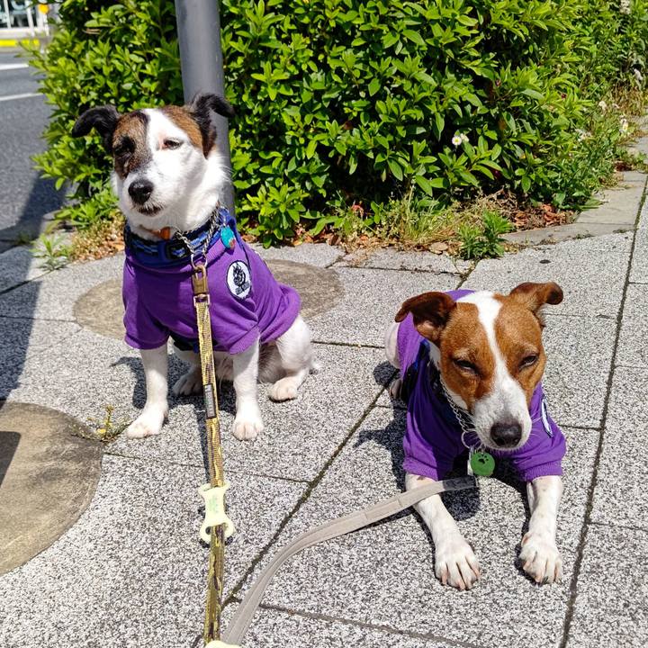 922ddf88 86b2 4244 900c eb9384220162 1620518874259