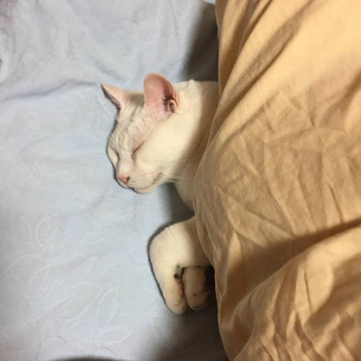 922de184 6a06 44d2 916a 170065386773 1536877954633