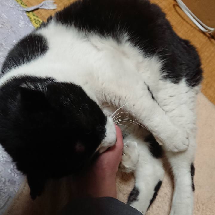 922de8bf 008a 4675 87b4 423be6b50646 1645186846129