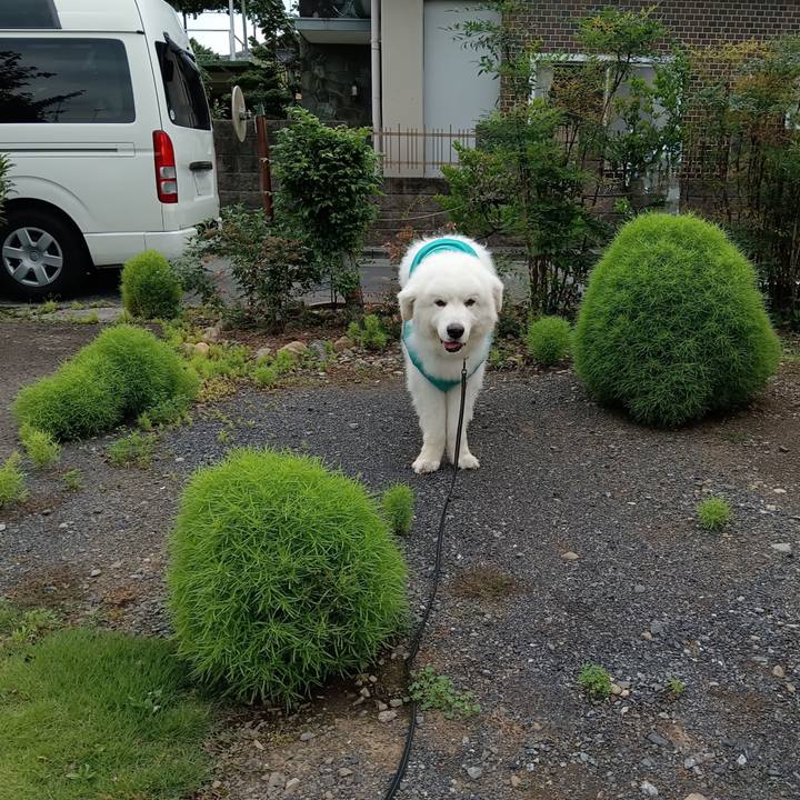 922e2d0b 3854 4f85 9757 fe3613887c9d 1719915657677