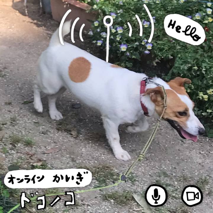 922e44b0 b567 4174 8516 7478d025be7f 1590882368843