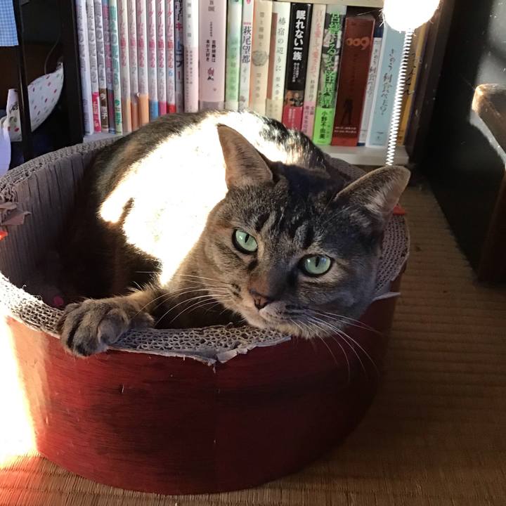 922e53c8 e09a 44b6 9152 a4264a080e48 1673084534552