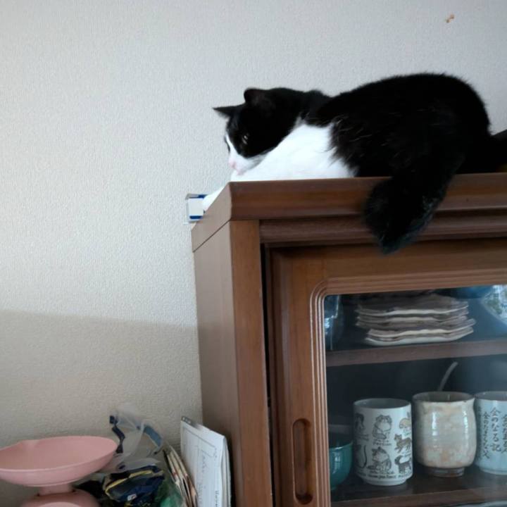 922e87d2 4bb9 4f87 bcab f01010b24cad 1725100573054