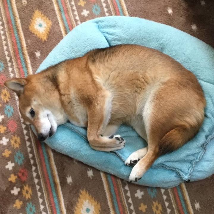 922e88af 92d7 4b64 9f1e 56b8bcb9ab84 1558262434029