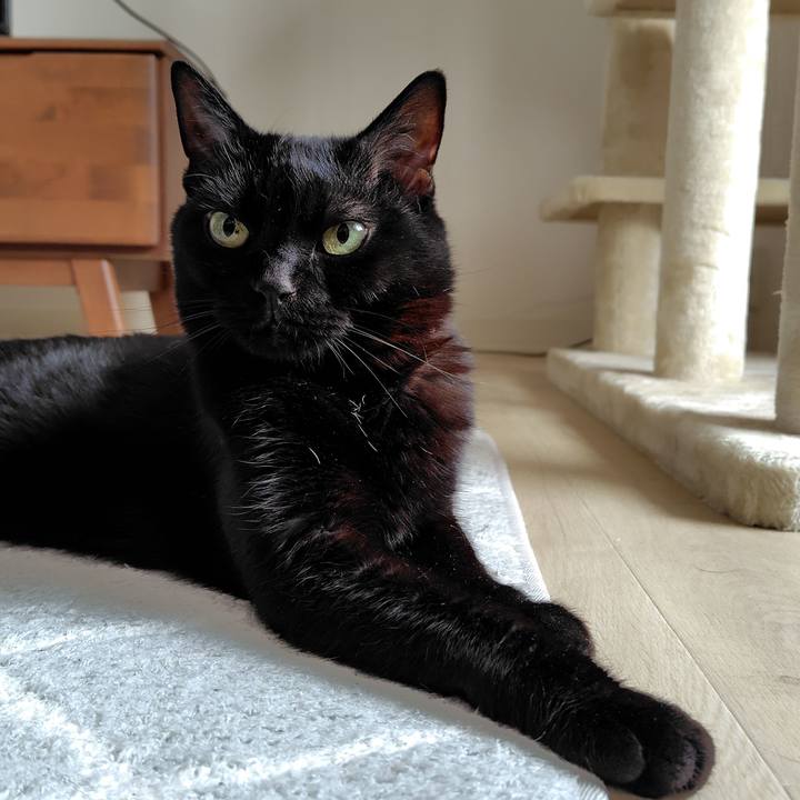 922eda8a c933 42d1 9b94 2812288da508 1751666639096