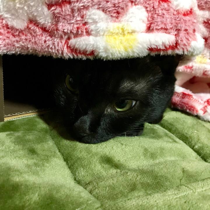 922edcd8 3524 41f5 9c98 bfd8bfa496d3 1508336664941