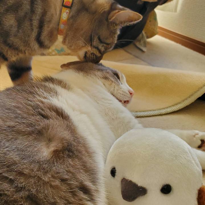 922f04eb e351 4c93 9669 3ad11d3c9dcc 1701324415643