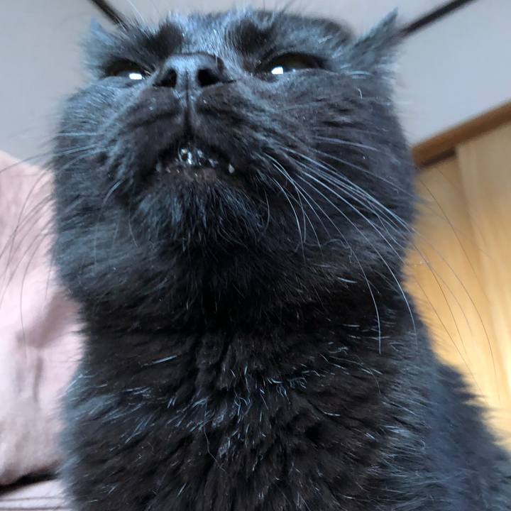 922f1938 e23e 4814 ad60 c66fca9e652c 1604007046988