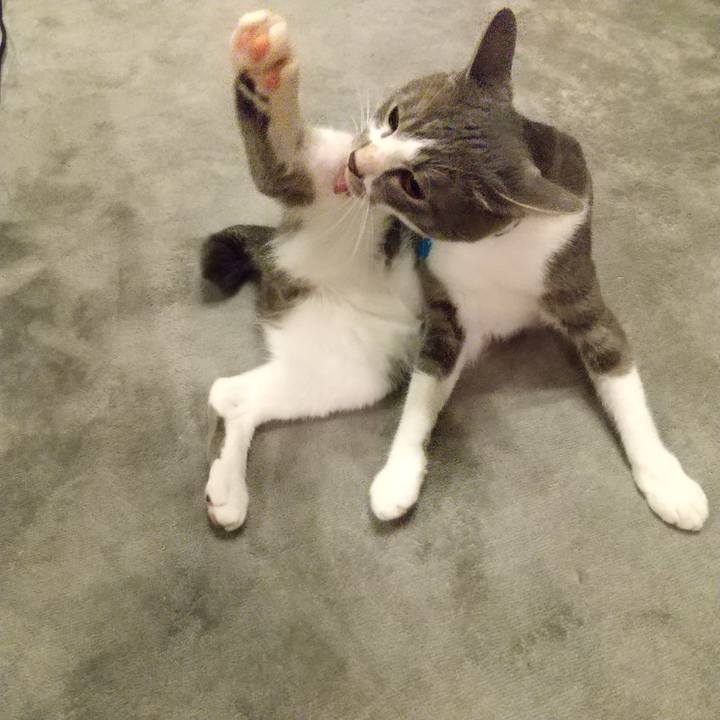 922f2e2f 6f2a 40d7 980e 806d949888c7 1596030982561