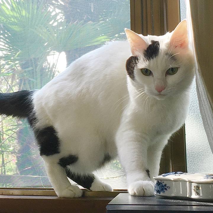 922f3030 76ed 4a6b b807 c51f895dcc4e 1589168798664