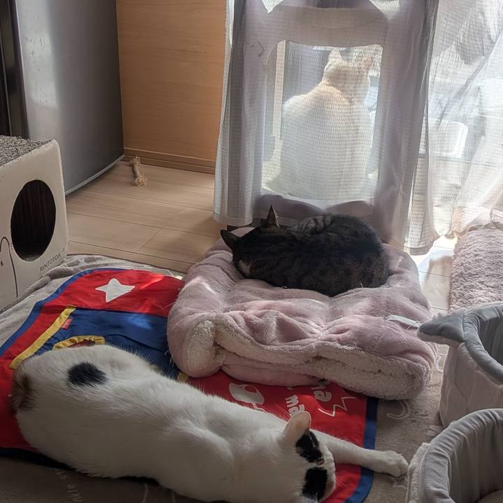 922fa100 5dfe 4e7c a3eb 90dea859d6eb 1773800421186