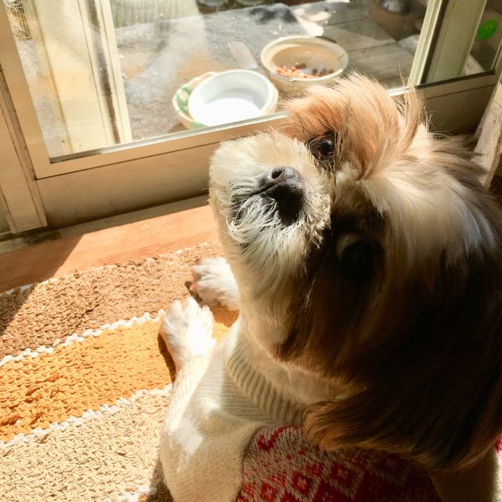 922fb175 c548 4f7c b0d8 9307eb2bf10a 1520131086387