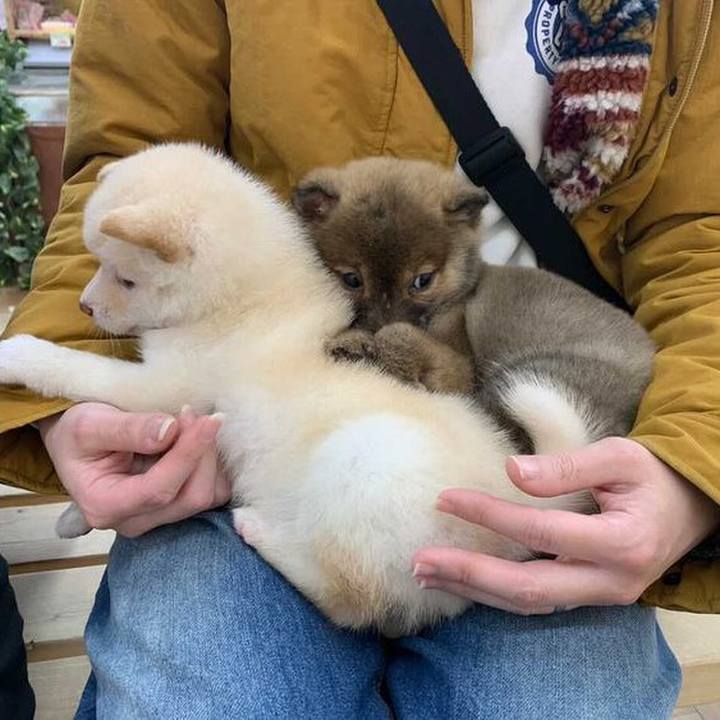 922fb29c 998a 4f4f b6d1 889f2f027d24 1615758929418