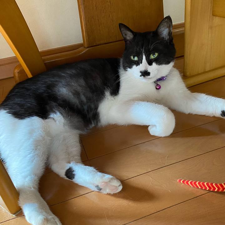 92302afc a80d 4c1f 81fe 896b8d26290c 1626824482203