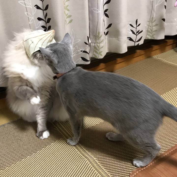 9230511d bc63 4f1c a59b 97d5fe97072c 1521114414815