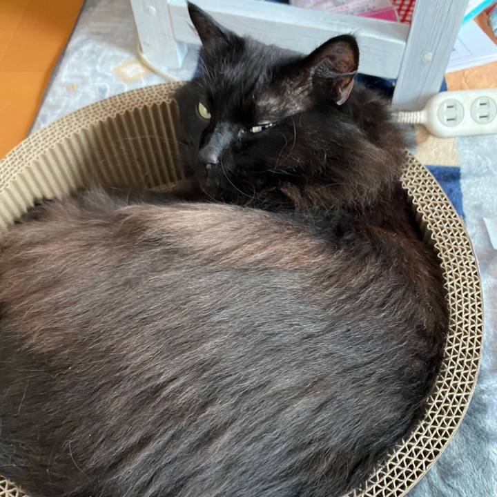 923083ac 60c8 4351 84b7 977f8ba6f0a6 1581579220074