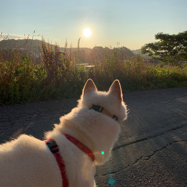 92308a88 aa51 4a72 a5eb b60df557ad32 1563308210819