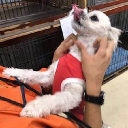 9230f97f e5eb 4eaa a78a 714590519c4f 1513685593641