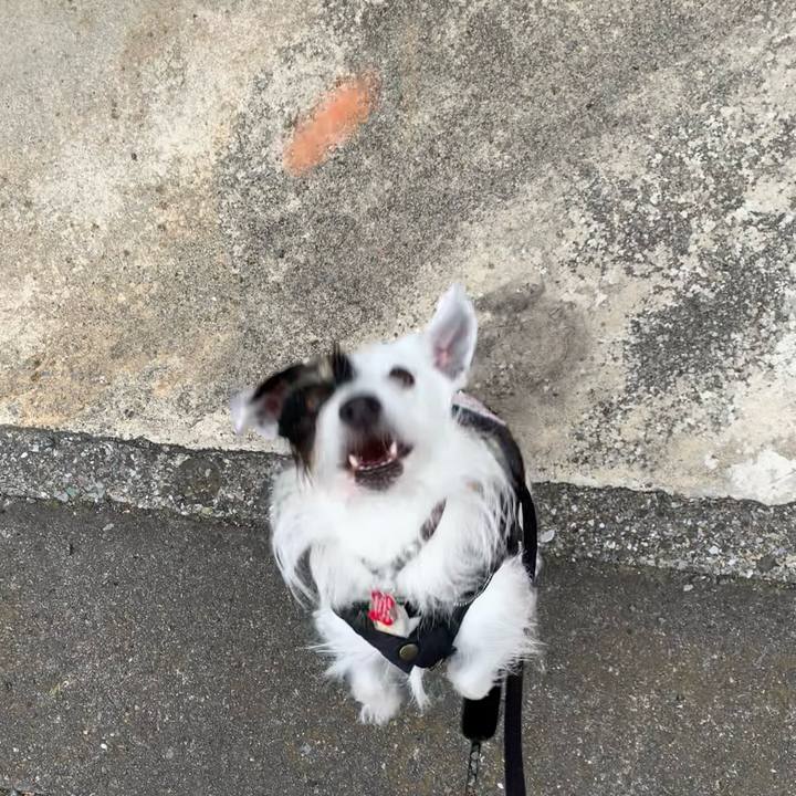 9230ff17 bf03 4f52 845e 9c2a426c80be 1705709276972