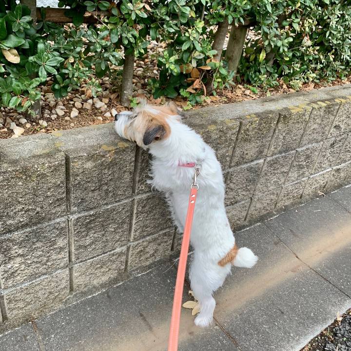 923122e9 7dde 4e29 bccf 48d2e2b81775 1665117953857