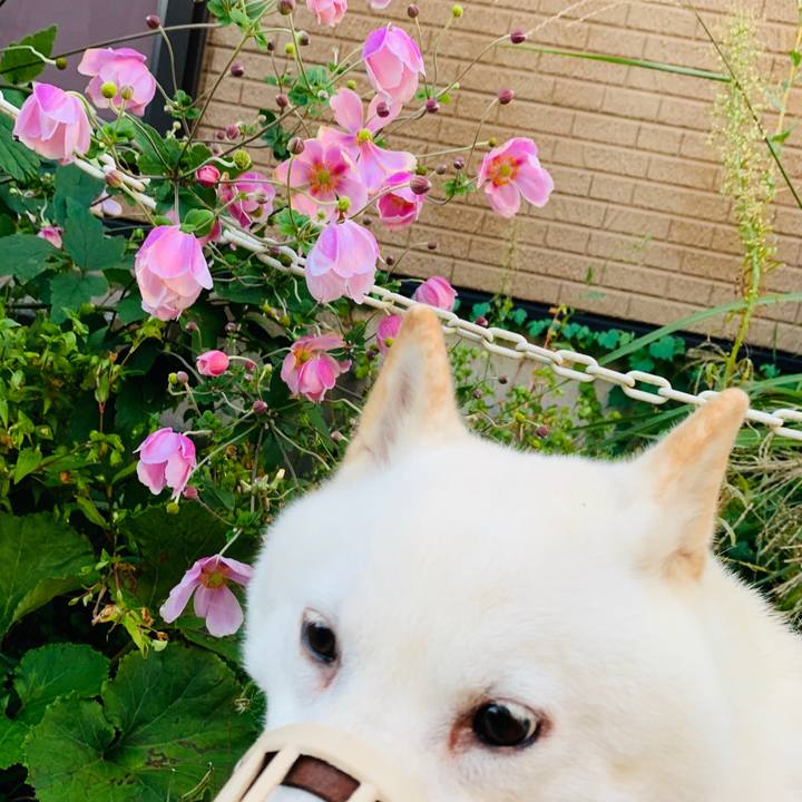 9231235e a863 45a2 988e eda91d5cf01a 1601329415801