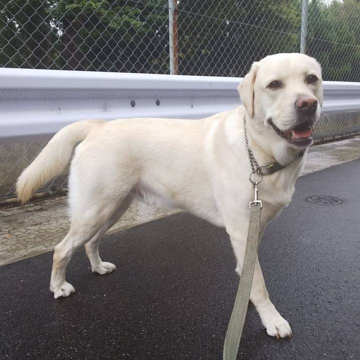 92312b04 e72d 4ccf a0d7 3384ac6fa1a3 1535859028720