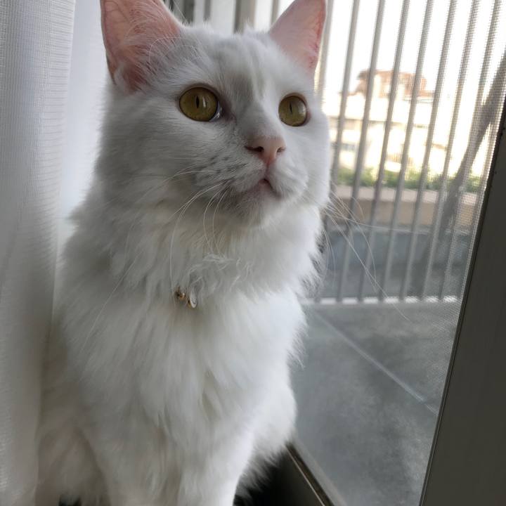 92313a27 41d4 4043 9746 e16aebeef5c8 1527721585678