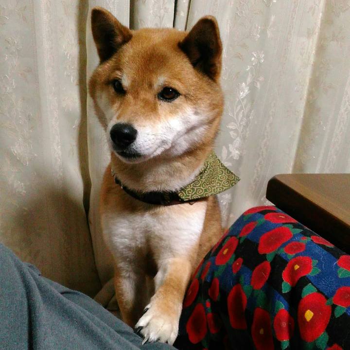 92315002 ef20 455b 9ee5 ca399eb883cc 1524575803182