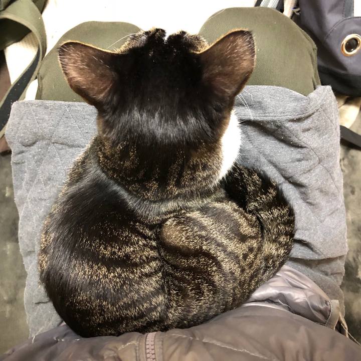 92316722 9e0a 4f47 9cd2 cd4a7da9b7ae 1516165296313